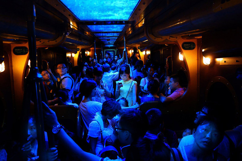 Illustration for article titled The Winning Images From National Geographic's 2014 Photo Contest